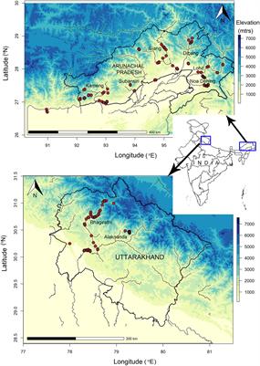 Drivers of Taxonomic, Phylogenetic, and Functional Beta Diversity of Himalayan Riverine Birds